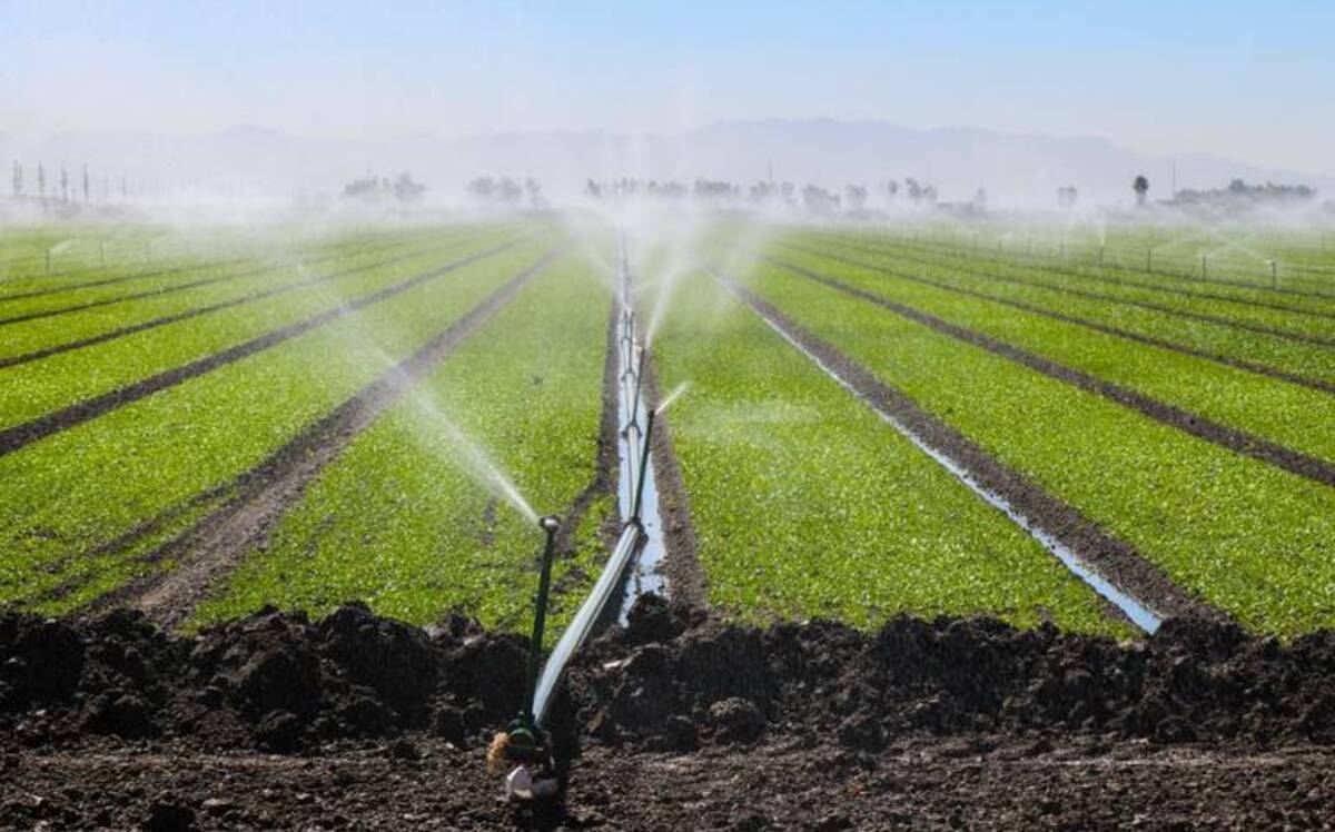 Recorte adicional de agua por sequía en cuenca del río Colorado limita ...