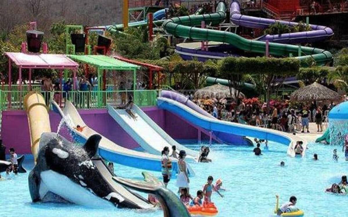 Splash Club Cierra el parque acuático Splash Club por ola de violencia en Sinaloa ...